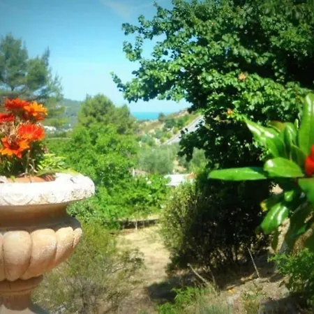 Casa Vacanze Da Grazia Appartement
