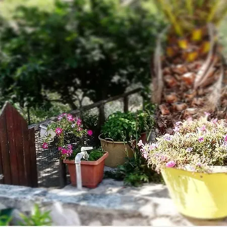Casa Vacanze Da Grazia Peschici